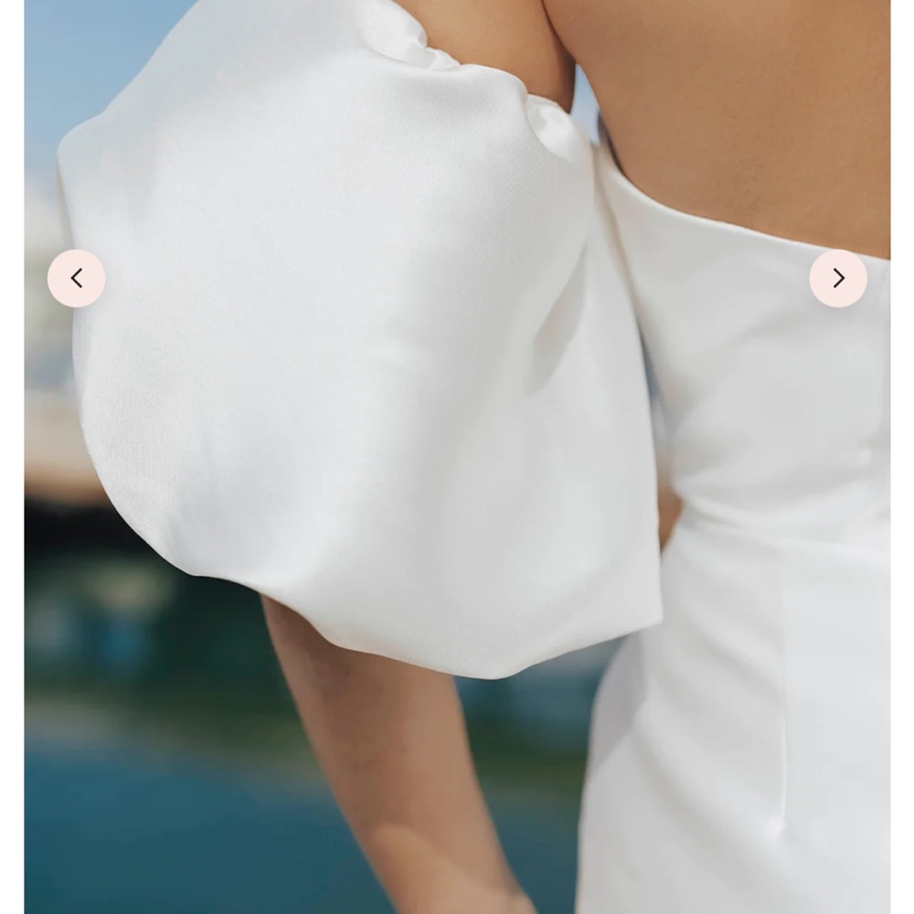 UNTAMED PETALS MAKENA BALLOON SLEEVES ONLY